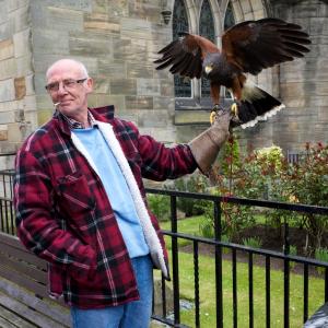 Harris Hawk Man