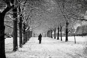 Magdalen Green Bandstand (Dec. 16, 2022)